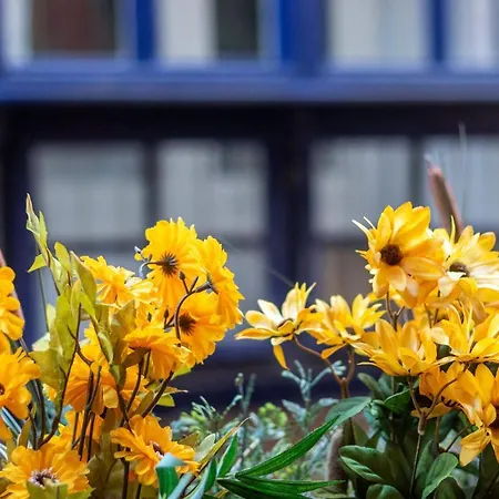 Old Town Ix By Aston Апартаменты