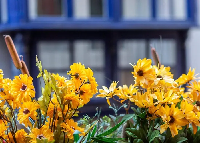 Old Town Ix By Aston Appartement